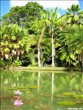 Jardín Botánico - SAN JUAN